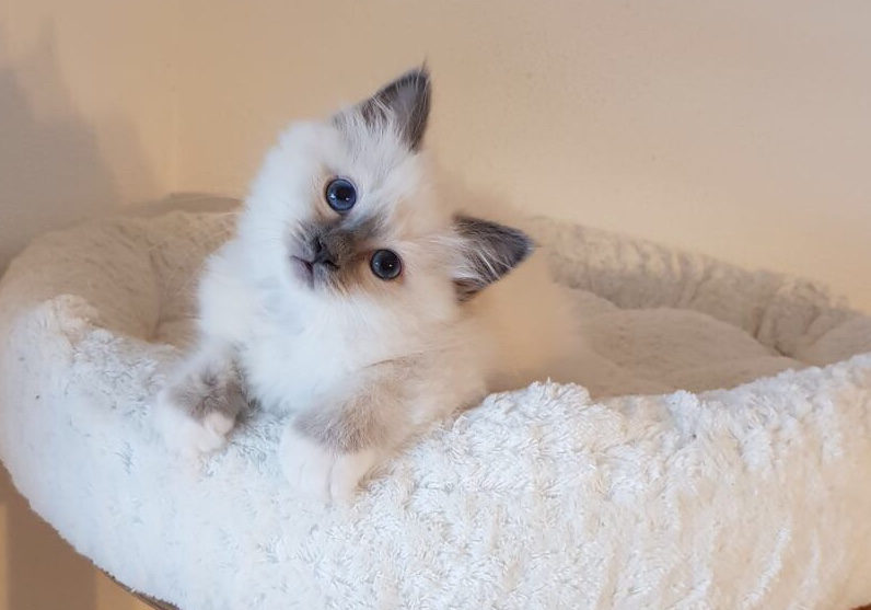 Nahla als Baby