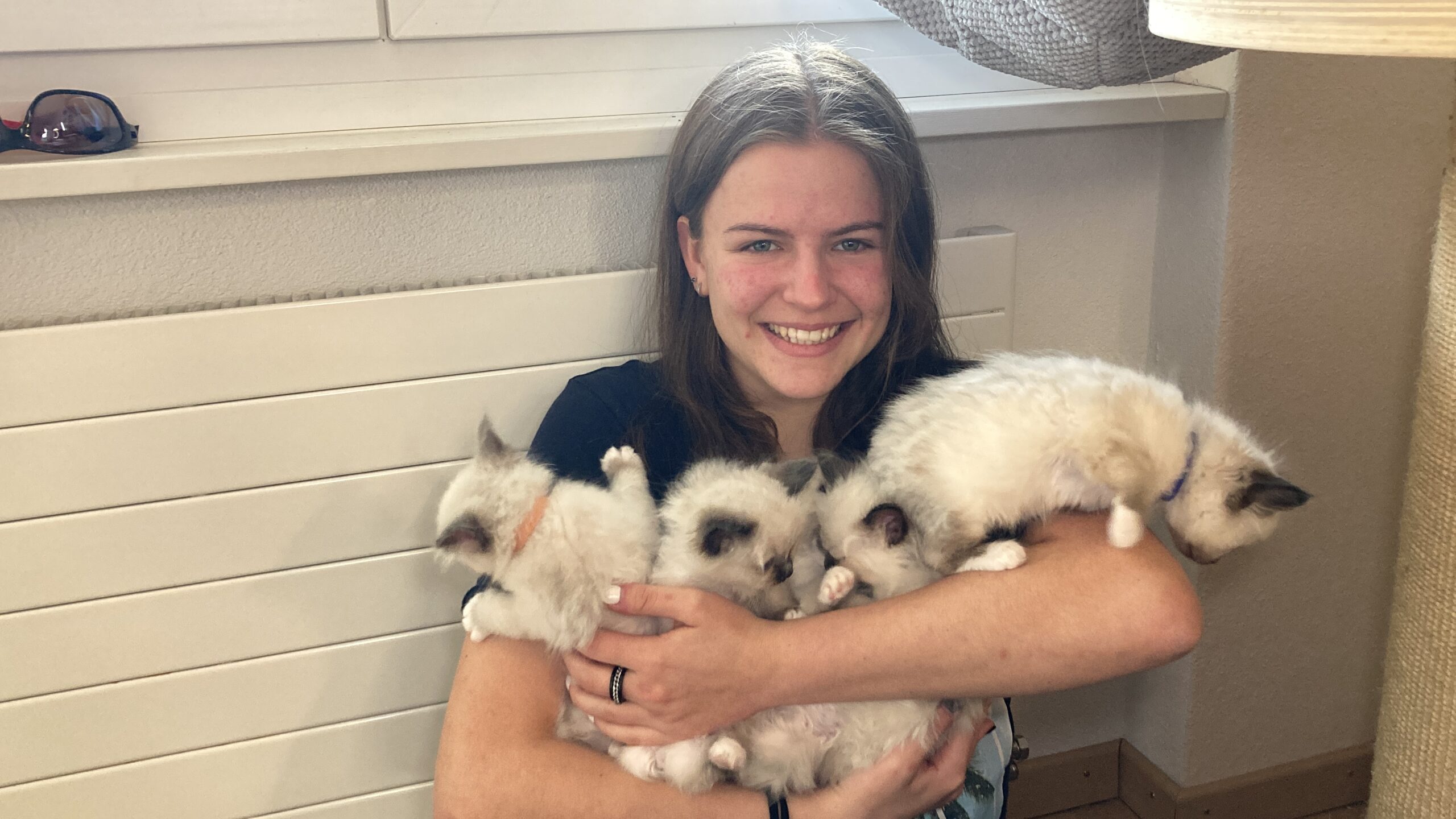 Corinne — Cornia Cats